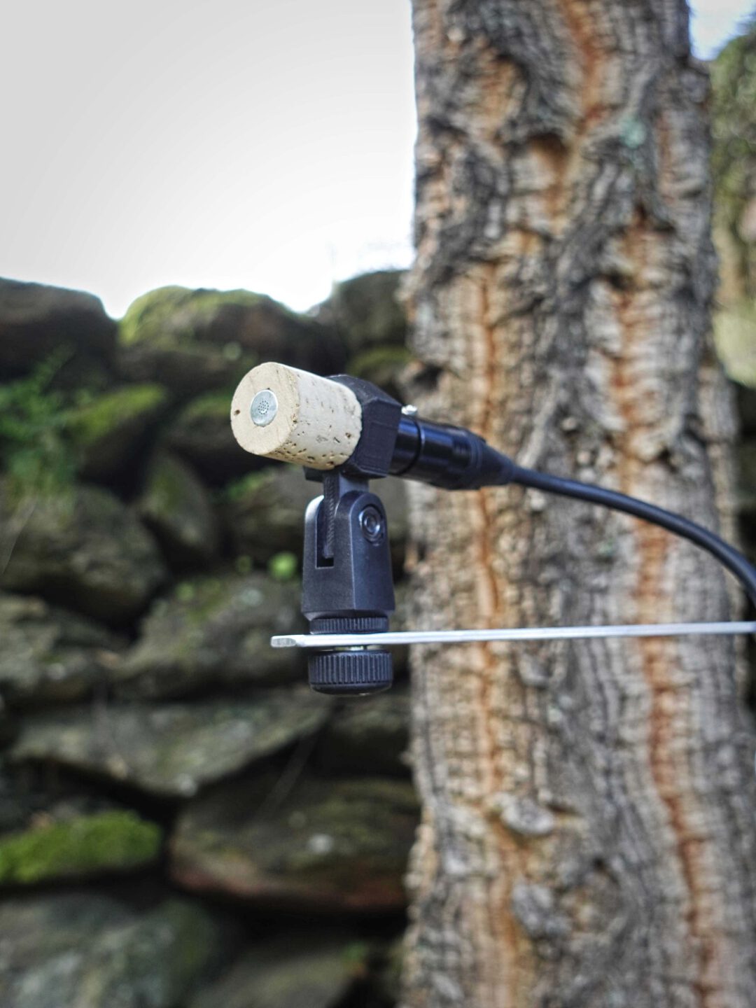 Cortiça Microphone
