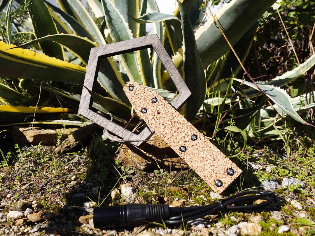 Electromagnetic Pentagonal Antenna