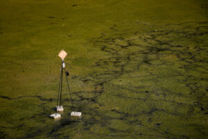 Urban Interference (2025)